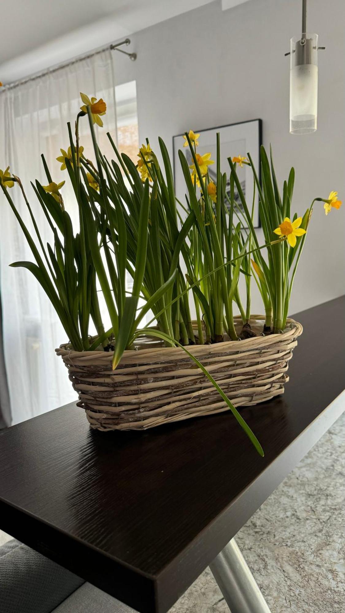 Apartament Rodzinny Колобжег Экстерьер фото